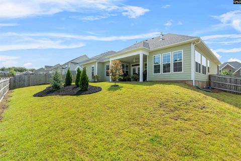 A home in Chapin