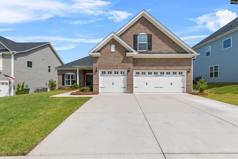 A home in Chapin