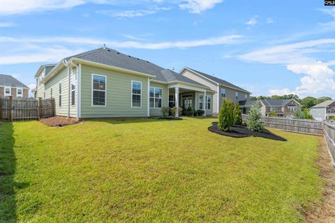 A home in Chapin