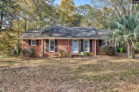Photo of 318 Maid Stone Road, Irmo, SC 29063 (MLS # 623738)
