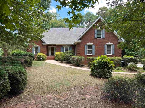 Single Family Residence in Lexington SC 701 Gasque Court.jpg