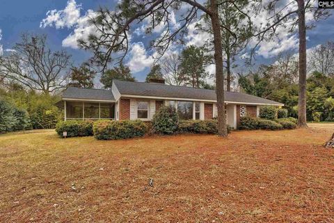 Single Family Residence in Wagener SC 5929 Wagener Road.jpg