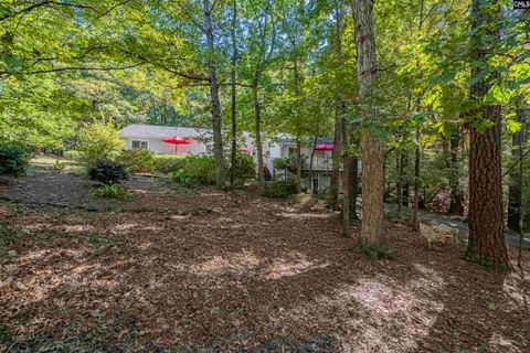 A home in West Columbia