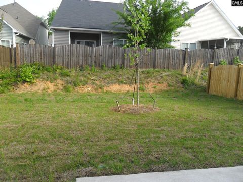 A home in Chapin