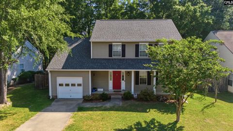 Photo of 16 Stoney Pointe Drive, Chapin, SC 29036 (MLS # 632377)
