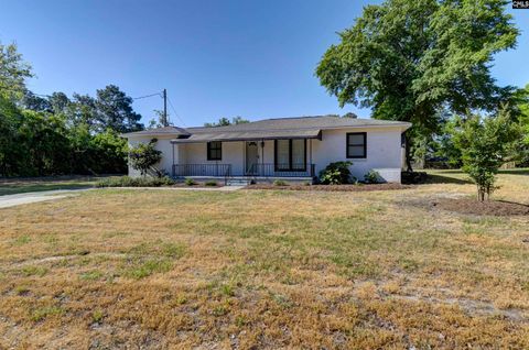 Photo of 407 Hendrix Street, Lexington, SC 29072 (MLS # 632395)