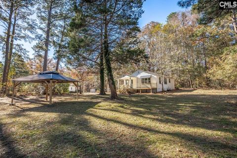 A home in Chapin