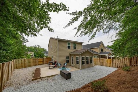 A home in Chapin