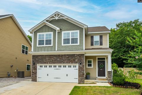 A home in Chapin