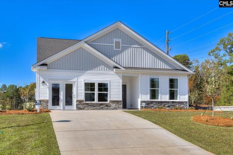 315 Chapin Place Way, Chapin, SC 29036 - MLS#: 605787
