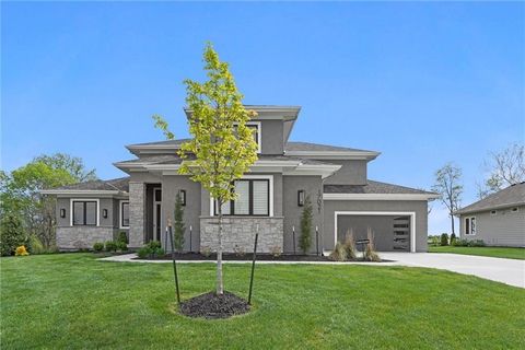 17021 Lucille Street Overland Park KS 66221