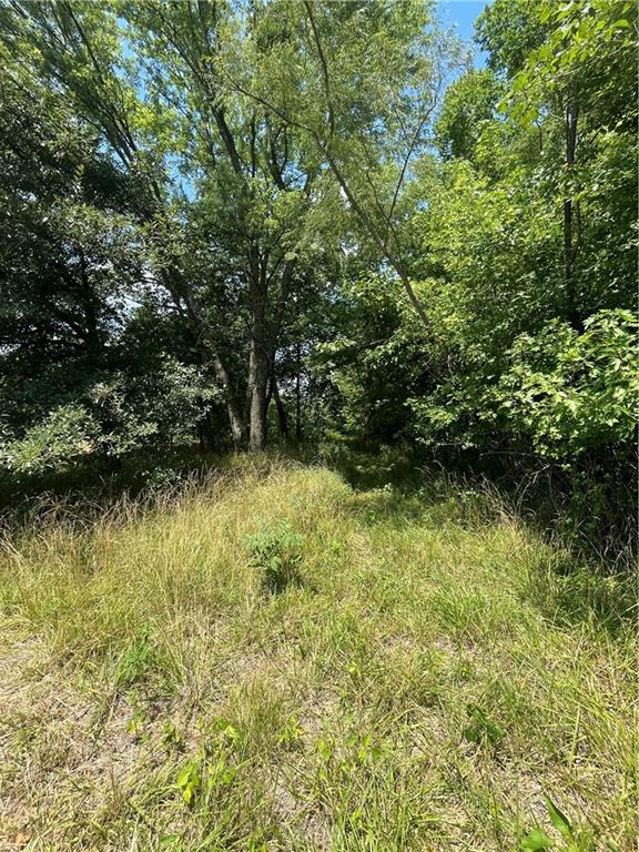 Odessa, Missouri 64076, United States, ,Land,Active,171362