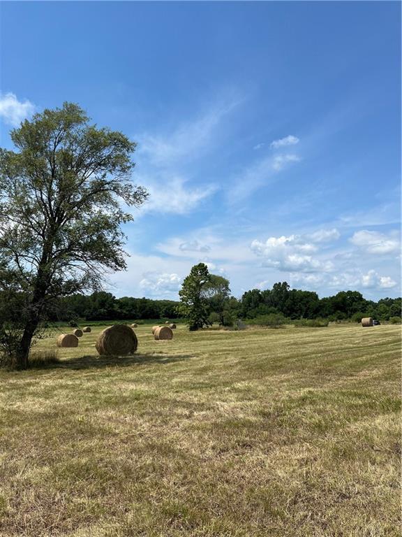 Odessa, Missouri 64076, United States, ,Land,Active,171362