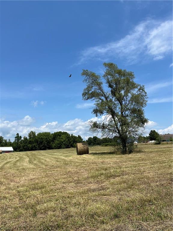 Odessa, Missouri 64076, United States, ,Land,Active,171362