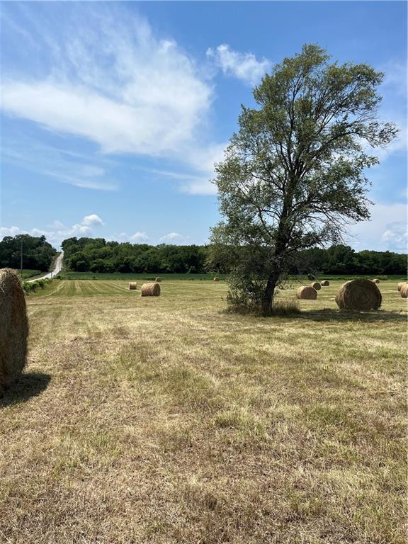 Odessa, Missouri 64076, United States, ,Land,Active,171362