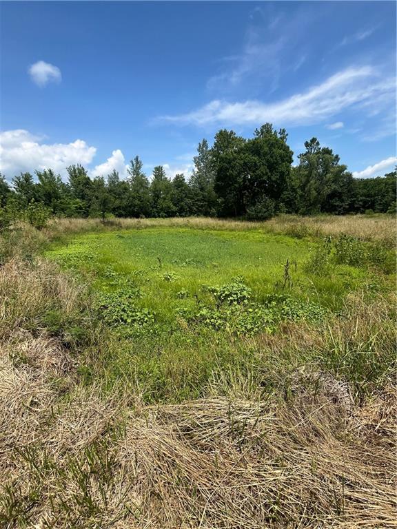 Odessa, Missouri 64076, United States, ,Land,Active,171362