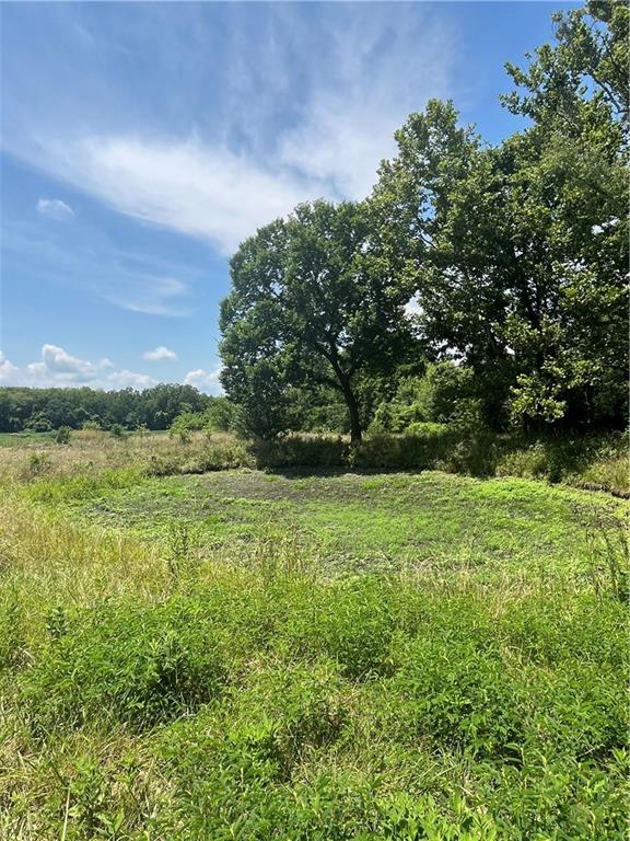 Odessa, Missouri 64076, United States, ,Land,Active,171362