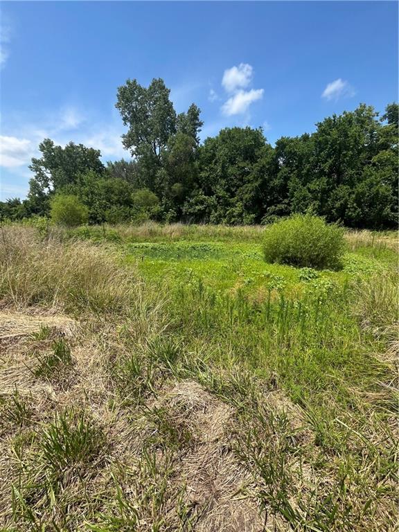 Odessa, Missouri 64076, United States, ,Land,Active,171362