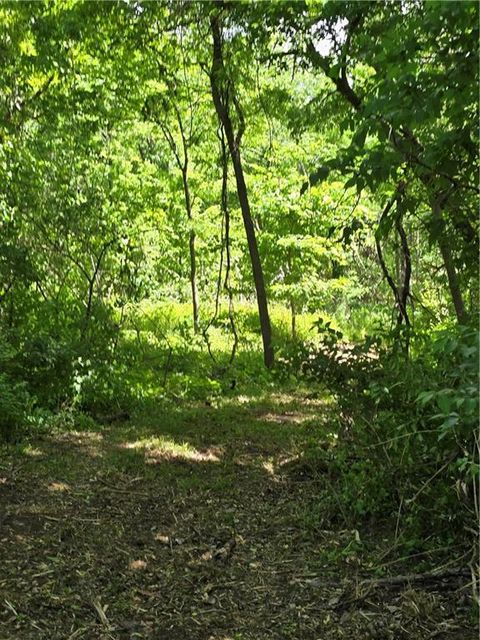 Lot 13 Deer View Estates Road Holden MO 64040