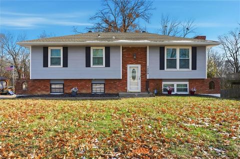 1229 Michele Drive, Excelsior Springs, MO 64024 - #: 2591230