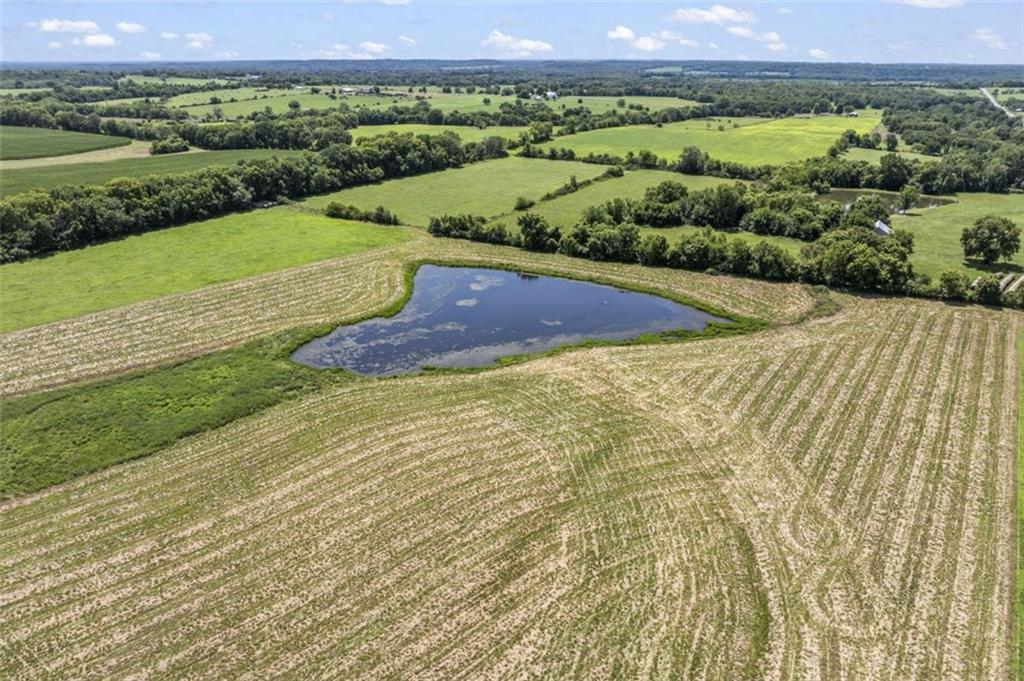 29215 State Rt O Highway