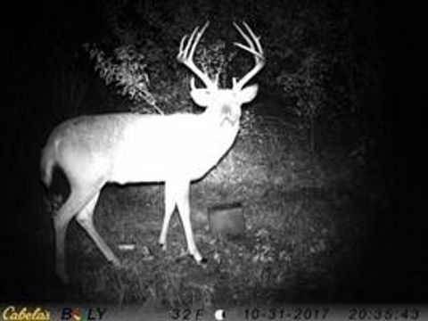 3025 Utah Terrace Rantoul KS 66079