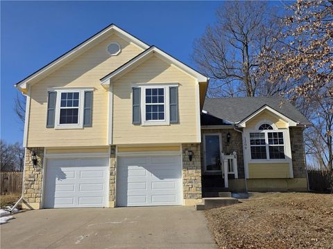 1309 Russell Road Pleasant Hill MO 64080