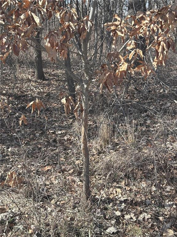 Clarksdale, Missouri 64430, United States, ,Land,Pending,5328