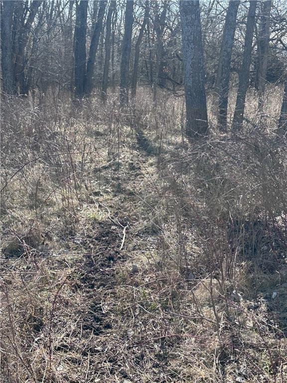 Clarksdale, Missouri 64430, United States, ,Land,Pending,5328