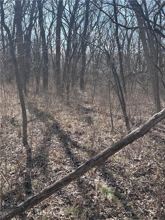 Clarksdale, Missouri 64430, United States, ,Land,Pending,5328