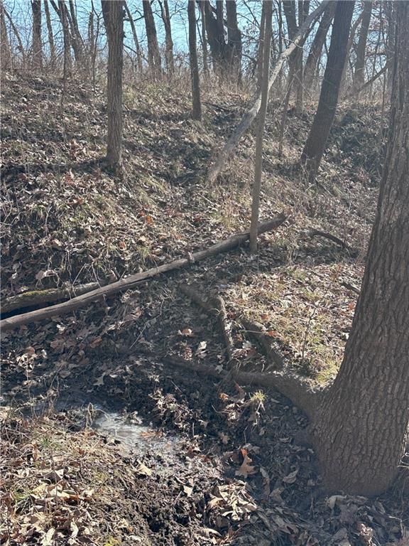 Clarksdale, Missouri 64430, United States, ,Land,Pending,5328