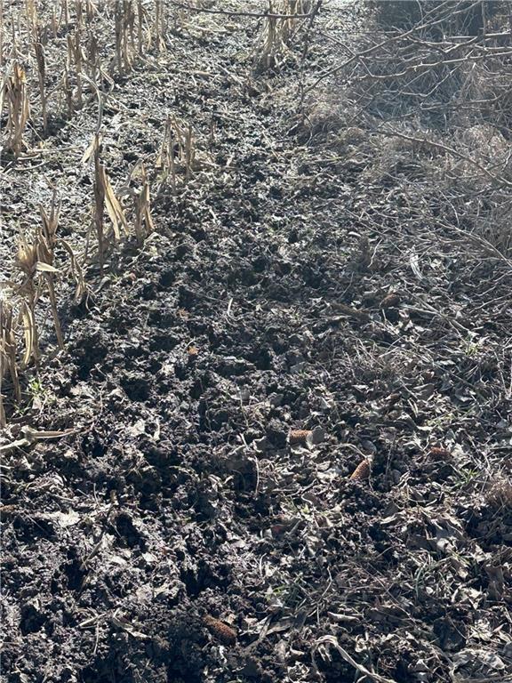 Clarksdale, Missouri 64430, United States, ,Land,Pending,5328