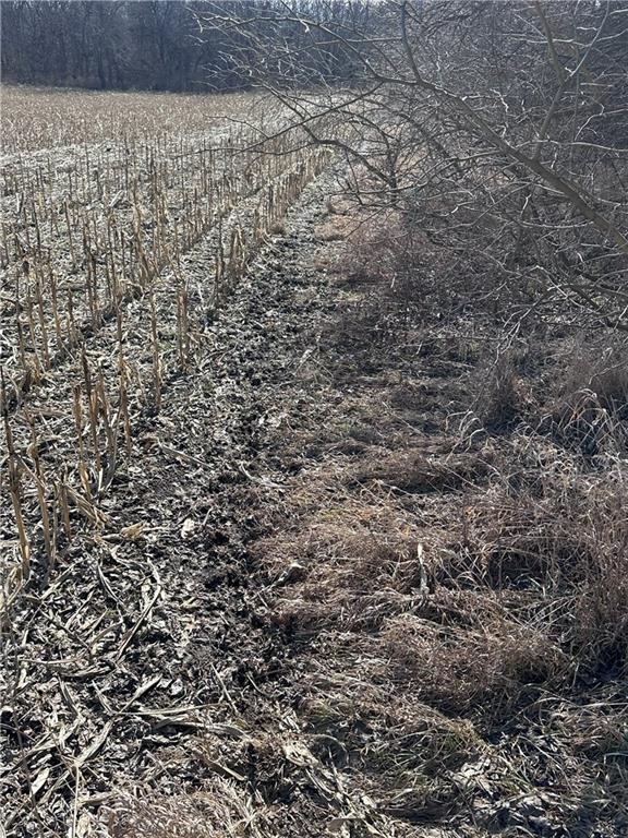 Clarksdale, Missouri 64430, United States, ,Land,Pending,5328