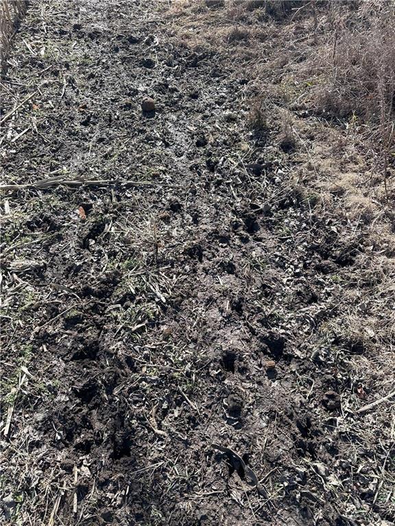 Clarksdale, Missouri 64430, United States, ,Land,Pending,5328