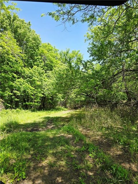 Lot 18 Deer View Estates Road Holden MO 64040