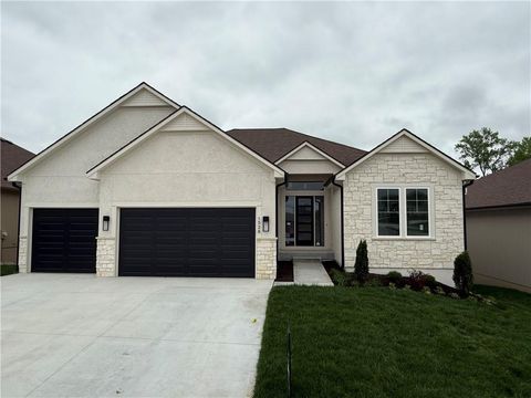 1528 NE Park Springs Drive Lee's Summit MO 64064
