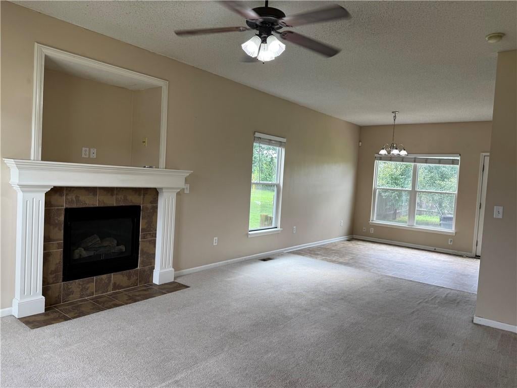 1015 Tamarisk Drive
