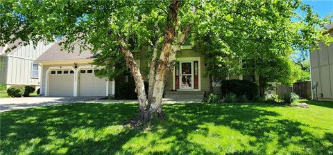 15107 Beverly Street Overland Park KS 66223