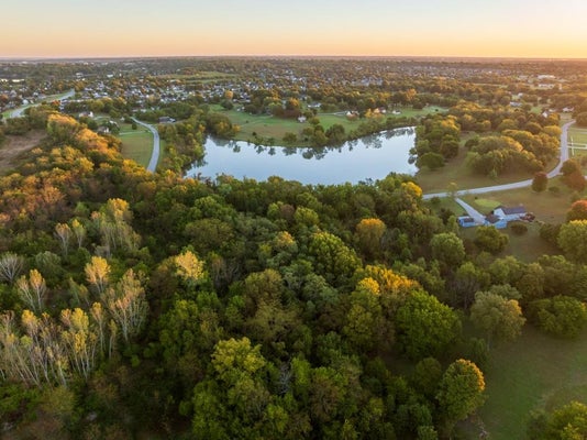 1115 W LINDA LN, RAYMORE, MO 64083 - Image 231c1db45a69e74edbcfe2eeb2b21785/110457044