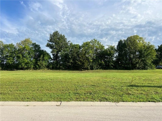 110 MELINDA DR, KEARNEY, MO 64060 - Image 24b1f0eb95cc18f54f0d82bbc11a7b2a/4067348587