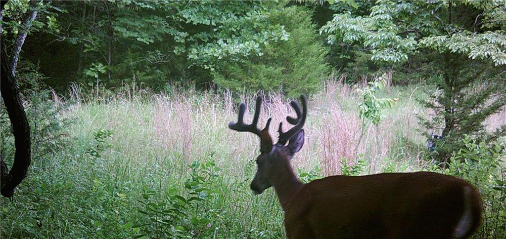 37690 US 169 Highway