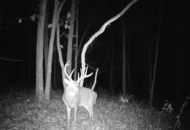 37690 US 169 Highway