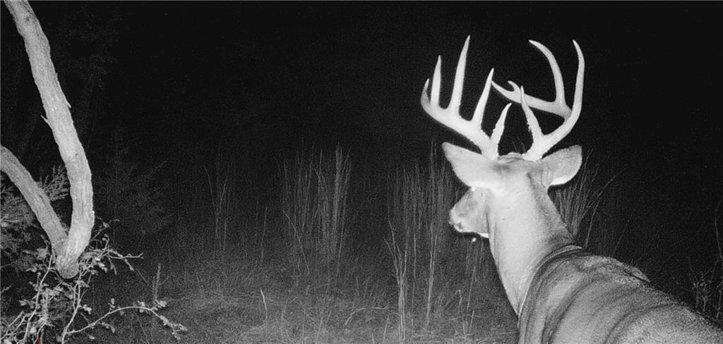 37690 US 169 Highway