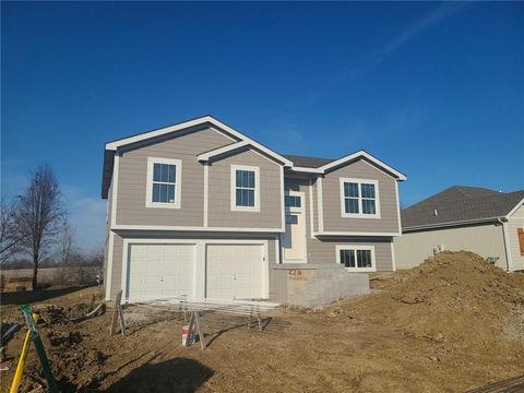 1913 Hawk View Harrisonville MO 64701