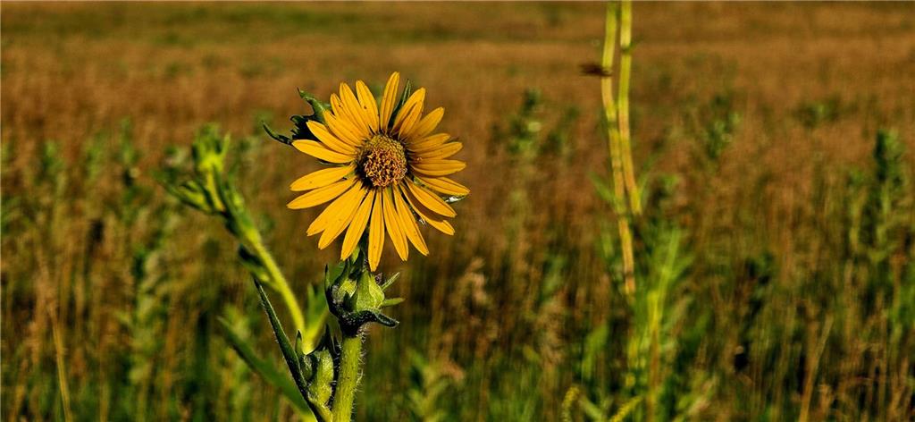 25987 W 215th Street