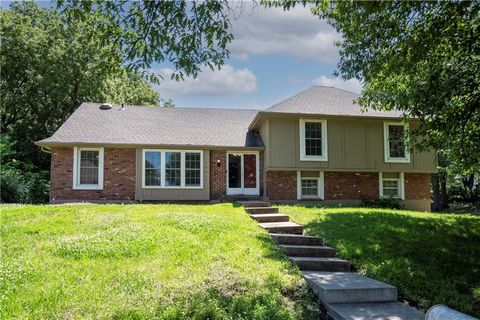 10315 NW Mirror Lake Drive Parkville MO 64152