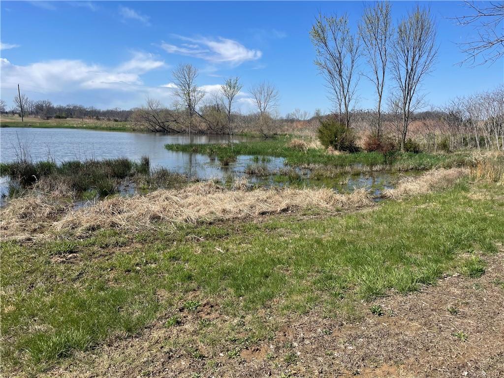 Higbee, Missouri 65257, United States, ,Land,Active,38383