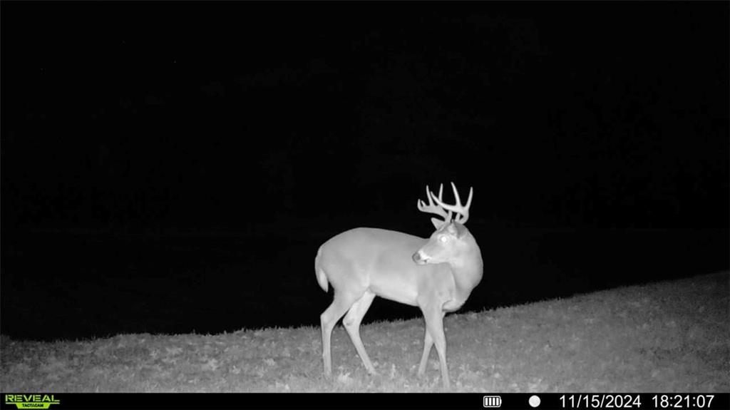 Higbee, Missouri 65257, United States, ,Land,Active,38383