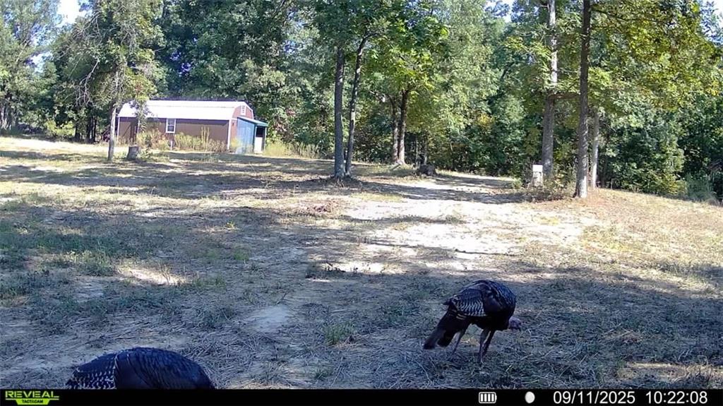 Higbee, Missouri 65257, United States, ,Land,Active,38383