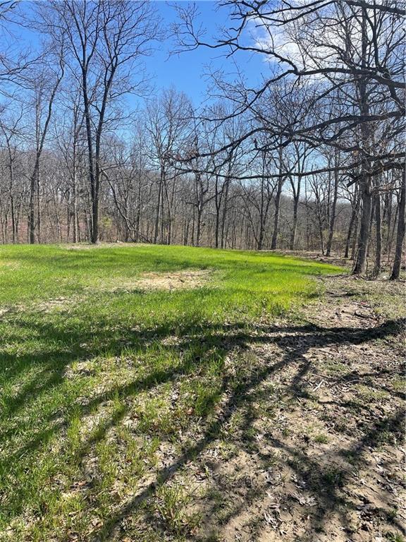 Higbee, Missouri 65257, United States, ,Land,Active,38383